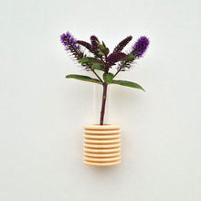 Ribble Wall Vase -  Natural Wood