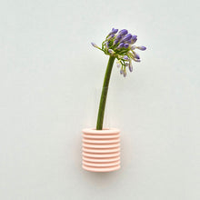 Ribble Wall Vase -  Pink